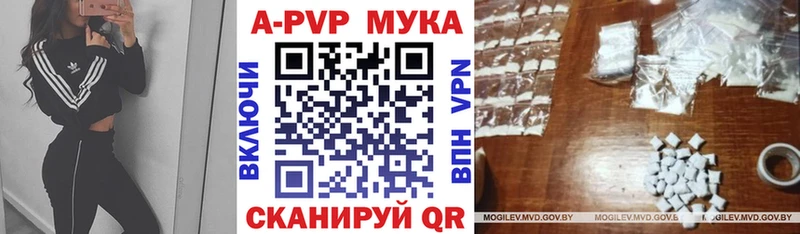 A PVP мука  цена наркотик  блэк спрут сайт  Звенигово 