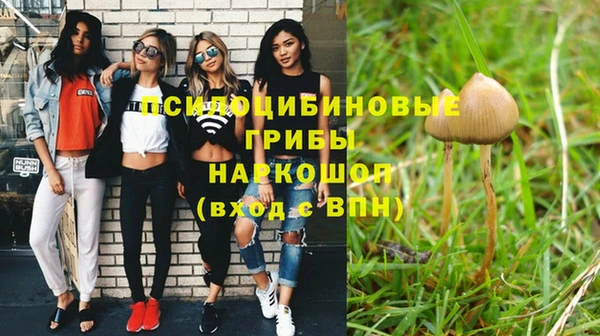 эйфоретик Алексеевка