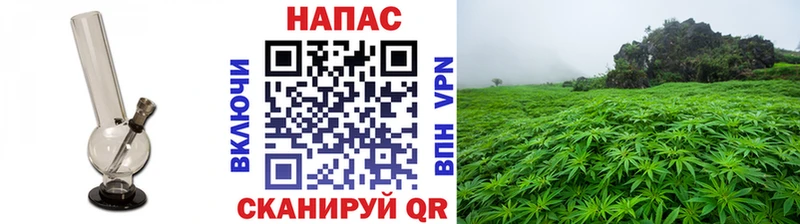 Канабис конопля  Звенигово 